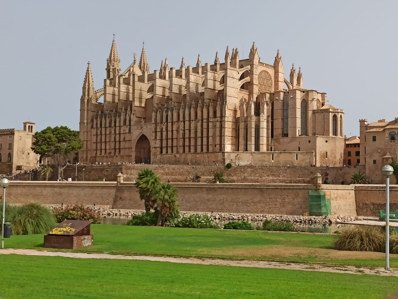 Raúl Serrano - Catedral Mallorca